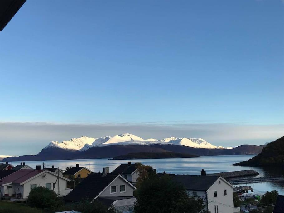 Perfect Apartment For Whale Safari At Skjervoy! Exterior photo